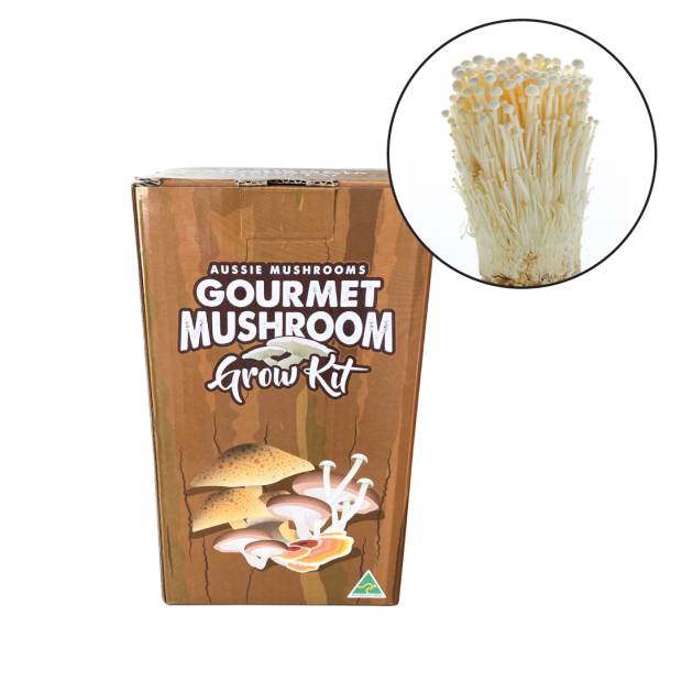 Mushroom Growing Kit