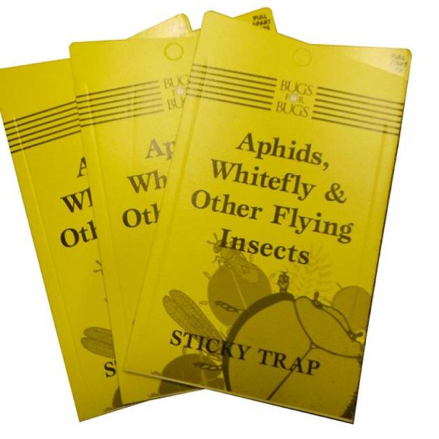 STICKY FLY TRAPS YELLOW